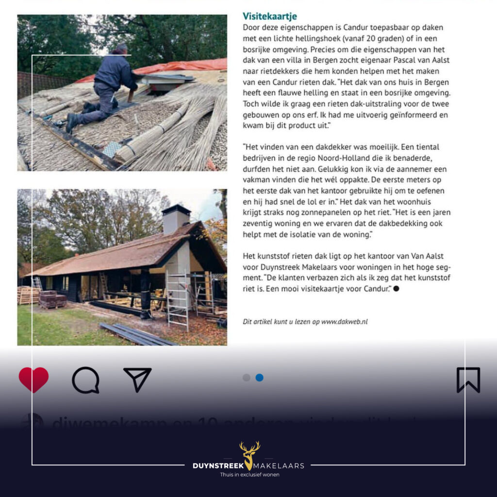 2023 01 16 Candur Riet 3