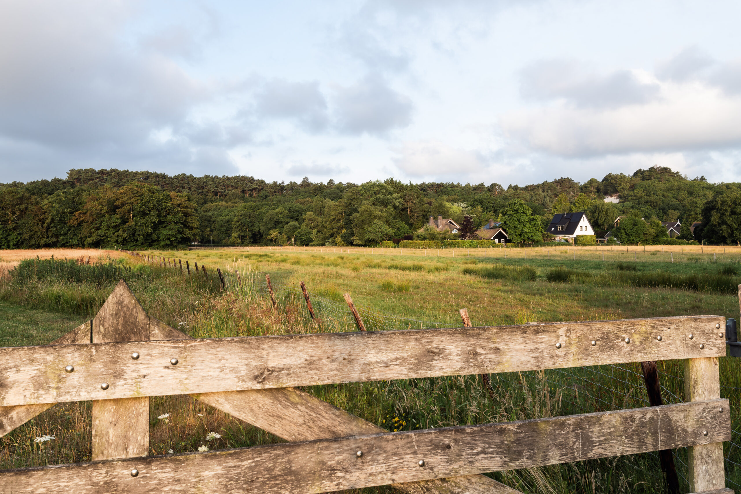 Duynstreek Makelaars