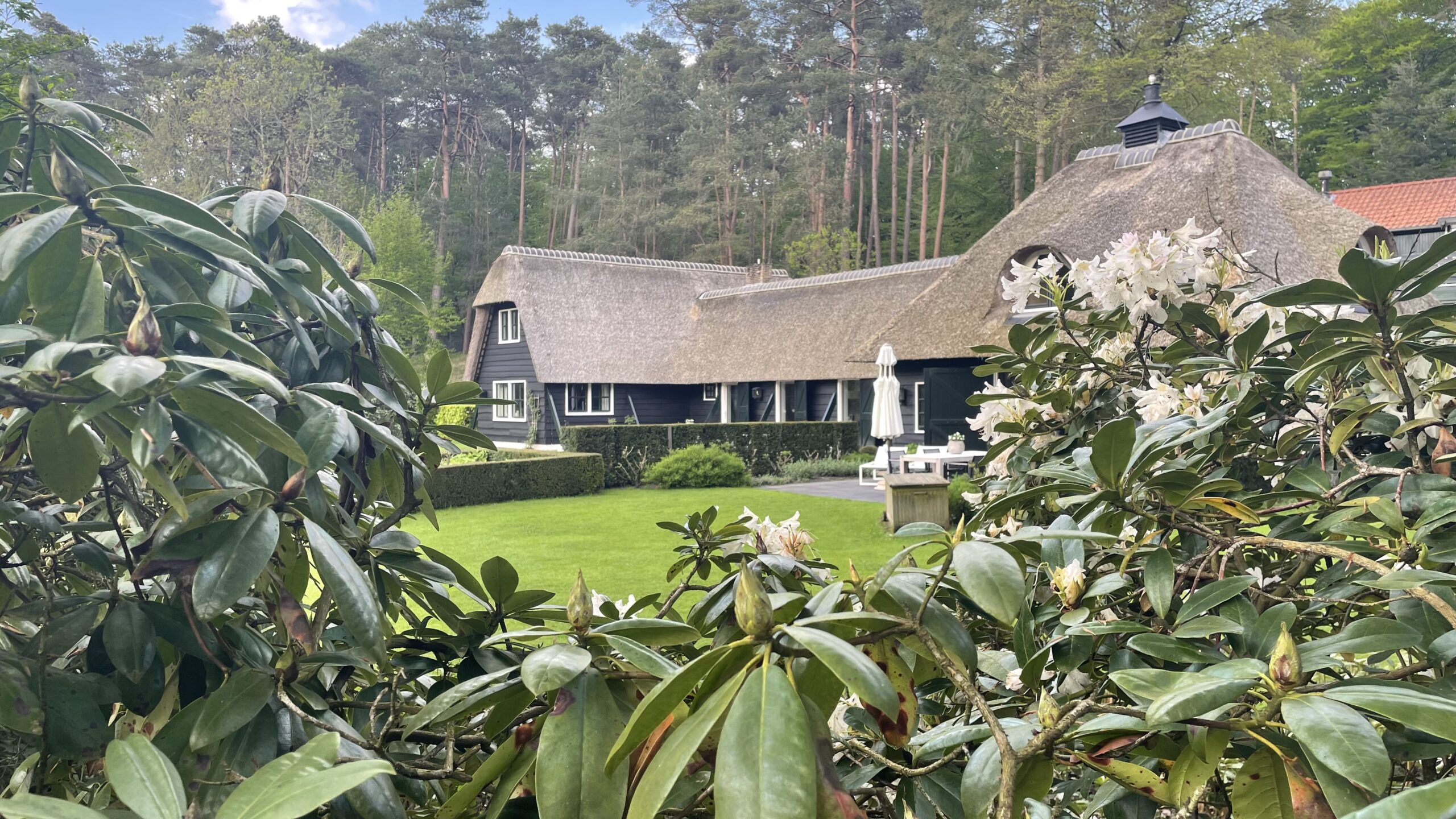 Duynstreek Makelaars